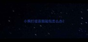 小狗打疫苗鼓起包怎么办