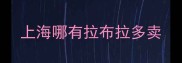 上海哪有拉布拉多卖