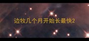 边牧几个月开始长最快