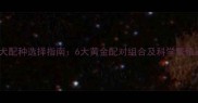 泰迪犬配种选择指南6大黄金配对组合及科学繁殖建议