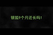 银狐9个月还长吗