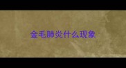 金毛肺炎什么现象