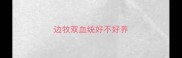 边牧双血统好不好养