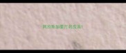 阿拉斯加要打的疫苗