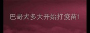 巴哥犬多大开始打疫苗