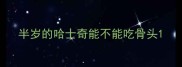 半岁的哈士奇能不能吃骨头