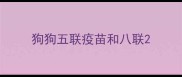 狗狗五联疫苗和八联