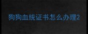 狗狗血统证书怎么办理