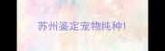 苏州鉴定宠物纯种
