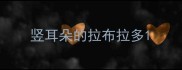 竖耳朵的拉布拉多