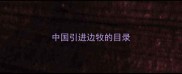 中国引进边牧的目录