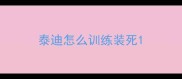 泰迪怎么训练装死