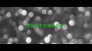 黑色短毛拉布拉多犬