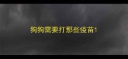 狗狗需要打那些疫苗