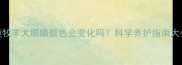 边境牧羊犬眼睛颜色会变化吗科学养护指南大公开