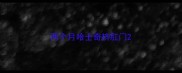 两个月哈士奇挤肛门
