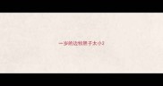 一岁的边牧胆子太小