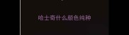 哈士奇什么颜色纯种