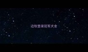 边牧登录冠军犬舍