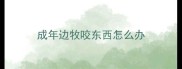成年边牧咬东西怎么办