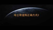 哈士奇遛狗正确方式