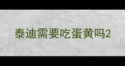 泰迪需要吃蛋黄吗