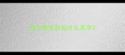 哈士奇适合起什么名字