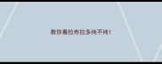 教你看拉布拉多纯不纯