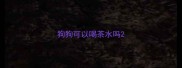 狗狗可以喝茶水吗