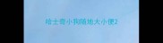 哈士奇小狗随地大小便