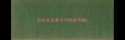拉布拉多鼻子干呼吸不畅