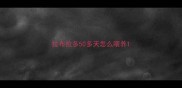 拉布拉多50多天怎么喂养