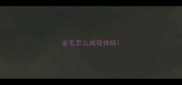 金毛怎么减轻体味