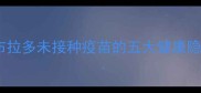 拉布拉多未接种疫苗的五大健康隐患