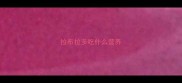 拉布拉多吃什么营养