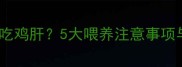 金毛犬几月大能吃鸡肝5大喂养注意事项与科学配比指南