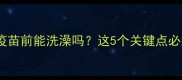 泰迪犬打疫苗前能洗澡吗这5个关键点必须知道