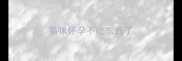 猫咪怀孕不吃东西了