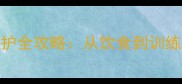 6个月哈士奇养护全攻略从饮食到训练的保姆级指南