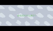 金毛钙片什么牌子