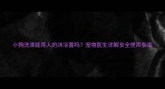 小狗洗澡能用人的沐浴露吗宠物医生详解安全使用指南