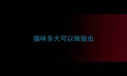 猫咪多大可以做驱虫