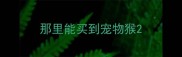 那里能买到宠物猴