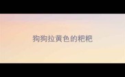 狗狗拉黄色的粑粑