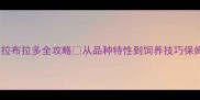 新手必看拉布拉多全攻略从品种特性到饲养技巧保姆级指南