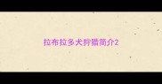 拉布拉多犬狩猎简介