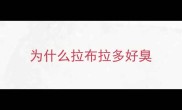为什么拉布拉多好臭