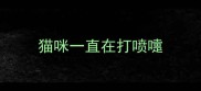 猫咪一直在打喷嚏