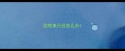 边牧来月经怎么办