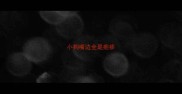 小狗嘴边全是疱疹